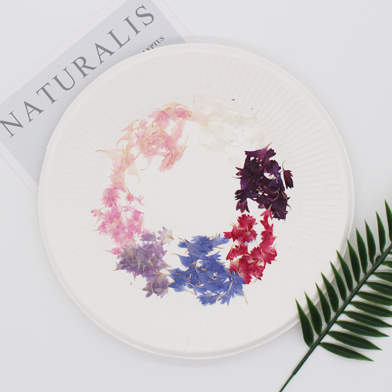 20 Plant Specimens of Cornflow - Resin Art Baby recension och pris
